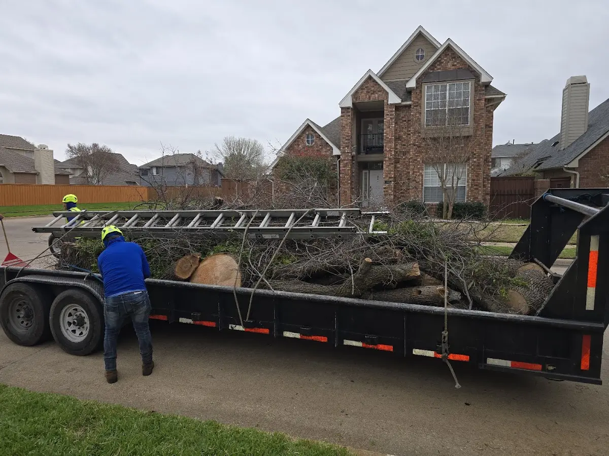Expert Lot Clearing with proper safety equipment in Lucile
